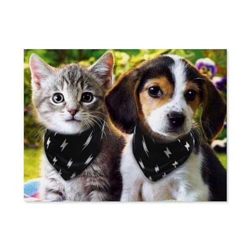 BEAYODKP Katze und Hund Bilder,Tiere，nach Zahlen für Erwachsene, DIY-Malen-nach-Zahlen-Kits für Kinder, Anfänger, Rahmenlose Leinwand（50x60cm） 19.6x23.6 pouces-C38 von BEAYODKP