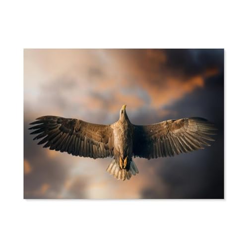 BEAYODKP Malen Nach Zahlen Erwachsene，Fliegender Falke，Malen Nach Zahlen Mit Pinseln und Acrylfarbe,DIY Set Basteln Erwachsene mit Pinseln und Acrylfarben für Home Decor（50x60cm） 19.6x23.6 pouces-J87 von BEAYODKP