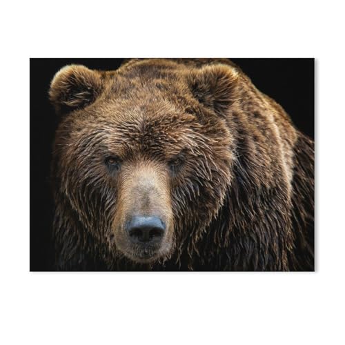 BEAYODKP Malen Nach Zahlen Erwachsene,Tier mächtigen Braunbären,DIY Handgemalt Ölgemälde Kit für Anfänger und Erwachsene,kreatives Geschenk, Home Deko（50x60cm） 19.6x23.6 Zoll-61 von BEAYODKP