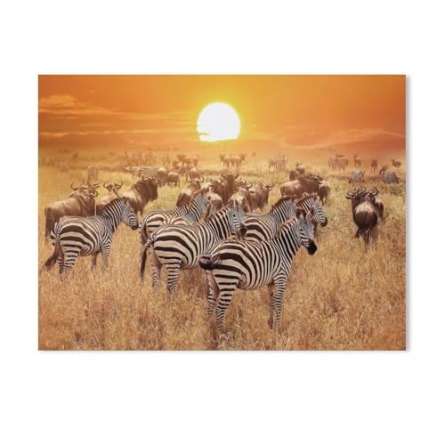 BEAYODKP Malen Nach Zahlen Erwachsene,Tiere, Safari, Zebras, Savanne,Malen Nach Zahlen Mit Pinseln und Acrylfarbe,DIY Set Basteln Erwachsene mit Pinseln und Acrylfarben für Home Decor（20x30cm）-347 von BEAYODKP