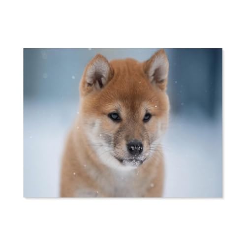 BEAYODKP Malen Nach Zahlen Kits，Shiba Inu Hund Tier，Malen Nach Zahlen Für Erwachsene Und Kinder DIY Ölgemälde Geschenk-Kits（30x40cm） 11.8x15.7 pouces-B89 von BEAYODKP