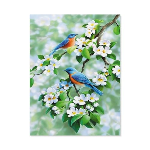 BEAYODKP Malen Nach Zahlen Kits，Vogel, Pfirsichblüte Tiere，Malen Nach Zahlen Für Erwachsene Und Kinder DIY Ölgemälde Geschenk-Kits（50x60cm） 19.6x23.6 pouces-C49 von BEAYODKP