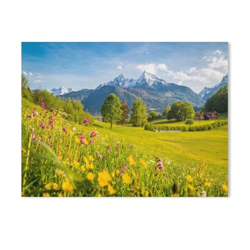 BEAYODKP Malen nach Zahlen,Blick über Blumen-Wiesen auf das Watzmann-Massiv in den Berchtesgadener Alpen,DIY Set für Kinder Erwachsene Leinwand Acrylgemälde Kunsthandwerk Zuhause bunte（50x60cm）-73 von BEAYODKP