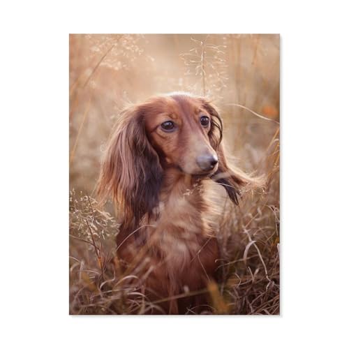 BEAYODKP Malen nach Zahlen，Dackel brauner Hund，diy malen nach zahlen erwachsene landsch Mit Pinsel und Acrylfarbe Kits Theme Digital Home Wall Artwork（50x60cm） 19.6x23.6 pouces-F66 von BEAYODKP