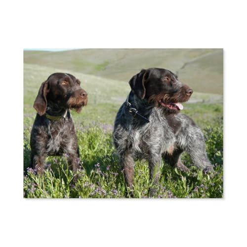 BEAYODKP Malen nach Zahlen，Deutscher Kurzhaariger Vorstehhund，diy malen nach zahlen erwachsene landsch Mit Pinsel und Acrylfarbe Kits Theme Digital Home Wall Artwork（50x60cm） 19.6x23.6 pouces-F46 von BEAYODKP