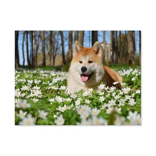 BEAYODKP Malen nach Zahlen，Hund in den Blumen Akita Inu，diy malen nach zahlen erwachsene landsch Mit Pinsel und Acrylfarbe Kits Theme Digital Home Wall Artwork（50x60cm） 19.6x23.6 pouces-F6 von BEAYODKP