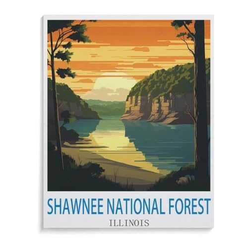 BEAYODKP Malen nach Zahlen,Shawnee National Forest von Illinois,diy malen nach zahlen erwachsene landsch Mit Pinsel und Acrylfarbe Kits Theme Digital Home Wall Artwork(30x40cm-M46 von BEAYODKP