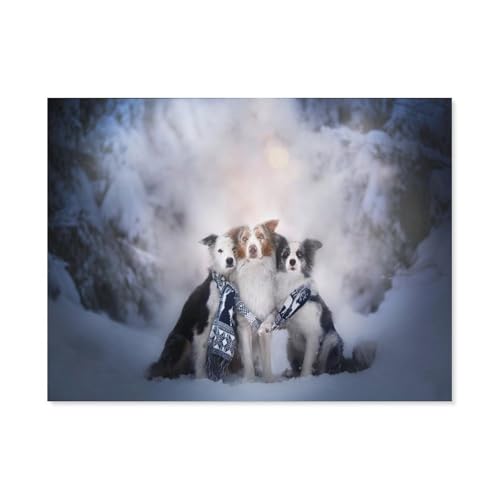 BEAYODKP Malen nach Zahlen，Tierhund Border Collie Schnee，diy malen nach zahlen erwachsene landsch Mit Pinsel und Acrylfarbe Kits Theme Digital Home Wall Artwork（50x60cm） 19.6x23.6 pouces-H66 von BEAYODKP