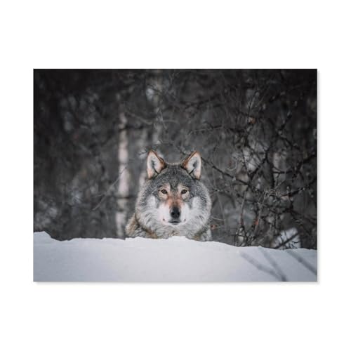 BEAYODKP Malen nach Zahlen，Wolf，diy malen nach zahlen erwachsene landsch Mit Pinsel und Acrylfarbe Kits Theme Digital Home Wall Artwork（50x60cm） 19.6x23.6 pouces-G26 von BEAYODKP