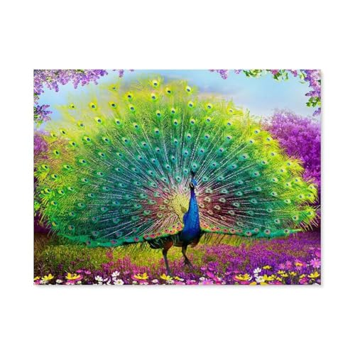 BEAYODKP Malen nach Zahlen，Wunderschön gefärbte Pfauenfeder，diy malen nach zahlen erwachsene landsch Mit Pinsel und Acrylfarbe Kits Theme Digital Home Wall Artwork（50x60cm） 19.6x23.6 pouces-J6 von BEAYODKP