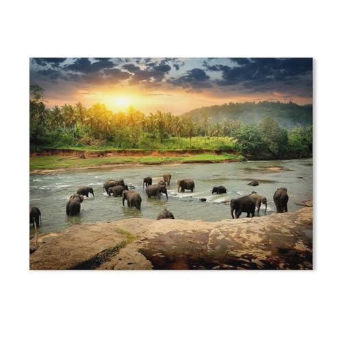 BEAYODKP Malen nach Zahlen Kits,Elefantenherde beim Baden im Dschungel von Sri Lanka,DIY Acrylmalerei nach Zahlen für Kinder & Erwachsene & Anfänger（30x40cm） 11.8x15.7 Zoll-450 von BEAYODKP