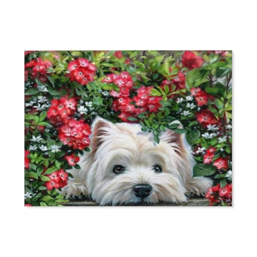 BEAYODKP Malen nach Zahlen für Erwachsene Kinder，Katze Hund Blume,Tiere，DIY Ölgemälde Digitales Malen nach Zahlen Kits auf Leinwand Dekoration Geschenk（50x60cm） 19.6x23.6 pouces-C35 von BEAYODKP