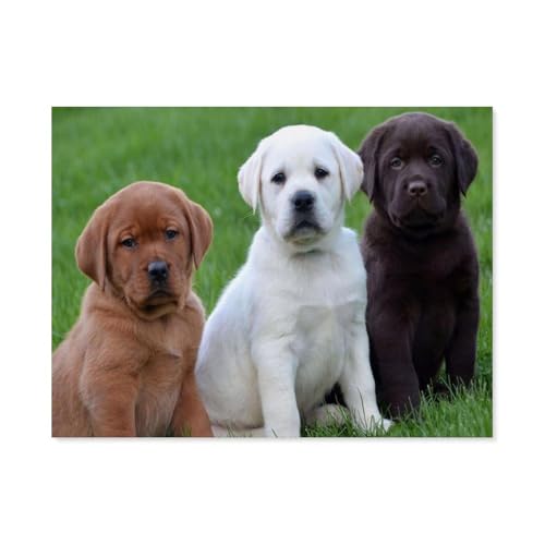 BEAYODKP Malen nach Zahlen für Erwachsene Kinder，Labrador-Tier，DIY Ölgemälde Digitales Malen nach Zahlen Kits auf Leinwand Dekoration Geschenk（40x50cm） 15.7x19.6 pouces-I55 von BEAYODKP