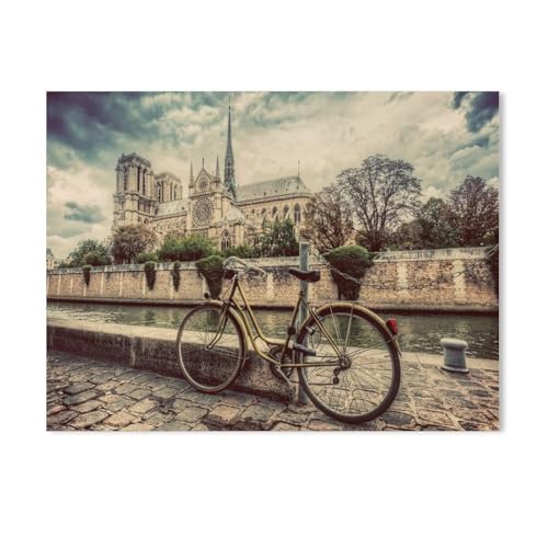 BEAYODKP Retro-Fahrrad neben der Kathedrale Notre Dame in Paris, Frankreich,Malen nach Zahlen Set für Erwachsene Kinder Anfänger selber auf Leinwand malen nach Zahlen zur Heimdekoration（20x30cm）-740 von BEAYODKP