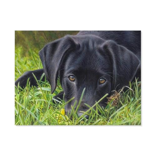 BEAYODKP Schwarz Hund Tiere，Malen nach Zahlen Set für Erwachsene Kinder Anfänger selber auf Leinwand malen nach Zahlen zur Heimdekoration（50x60cm） 19.6x23.6 pouces-D80 von BEAYODKP