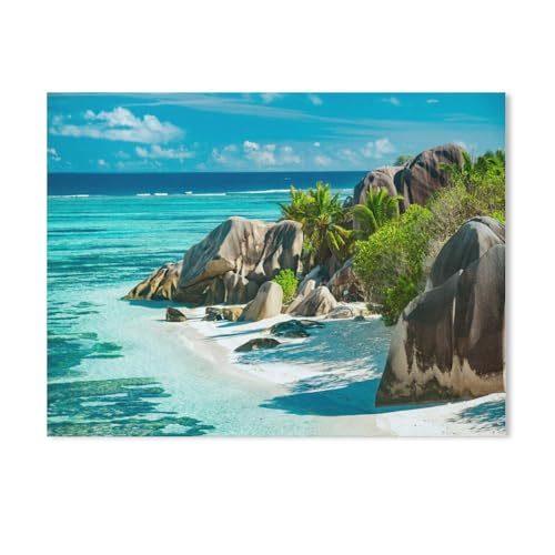 BEAYODKP Verzaubert schöner Strand der Seychellen - ANSE Source D'Argent,Malen nach Zahlen Set für Erwachsene Kinder Anfänger selber auf Leinwand malen nach Zahlen zur Heimdekoration（40x50cm）-820 von BEAYODKP