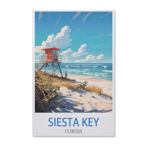 BEAYODKP Vintages Reiseplakat Siesta Key Florida，DIY Malen Nach Zahlen-Vorgedruckt Leinwand-Ölgemälde Geschenk für Erwachsene Kinder Kits Home Haus Dekor（50x60cm）-F99 von BEAYODKP