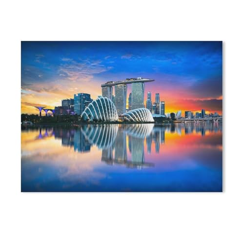 DIY Malen nach Zahlen,Singapur: Skyline der Stadt im Abendlicht,diy malen nach zahlen erwachsene landsch Mit Pinsel und Acrylfarbe Erwachsenenfarbe nach Zahlen Kits Kunst（50x60cm）19.6x23.6 Zoll-434 von BEAYODKP