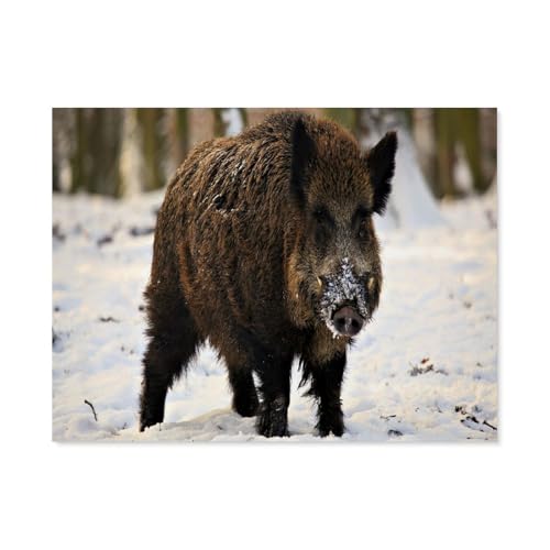 DIY Malen nach Zahlen，Wildschwein mit Schnee auf der Nase，diy malen nach zahlen erwachsene landsch Mit Pinsel und Acrylfarbe Erwachsenenfarbe nach Zahlen Kits Kunst（50x60cm）19.6x23.6 pouces-I14 von BEAYODKP