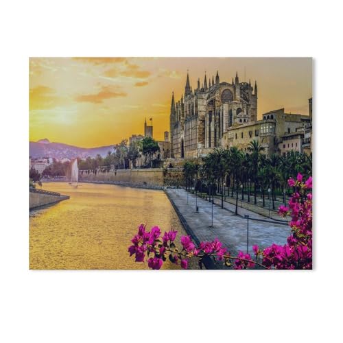 DIY Malen nach Zahlen-Ölgemälde Geschenk für Erwachsene Kinder,Kathedrale La Seu bei Sonnenuntergang in Palma de Mallorca, Spanien,Malen Nach Zahlen Kits Wohnzimmer Wanddekoration（50x60cm）-685 von BEAYODKP