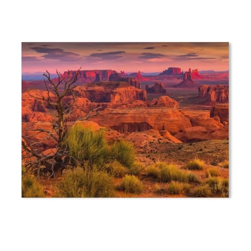 Malen Nach Zahlen,Sonnenaufgang in Hunts Mesa, Arizona, USA,Malen Nach Zahlen Erwachsene Anfänger Kinder DIY Ölgemälde auf Leinwand Geschenk Malen Nach Zahlen Kits（50x60cm）19.6x23.6 Zoll-612 von BEAYODKP