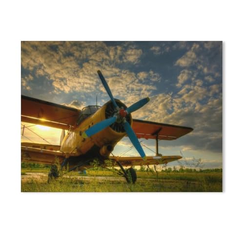 Malen Nach Zahlen Erwachsene und Kinder,Historisches Flugzeug auf grünem Gras im Sonnenuntergang,DIY Malen Nach Zahlen, mit Pinseln Malerei Kits Erwachsene Kunsthandwerk für Zuhause（50x60cm）-223 von BEAYODKP