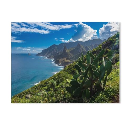 Malen nach Zahlen für Erwachsene Kinder,Wildes Anaga-Gebirge im Norden von Teneriffa,DIY Ölgemälde Digitales Malen nach Zahlen Kits auf Leinwand Dekoration Geschenk（50x60cm）19.6x23.6 Zoll-515 von BEAYODKP