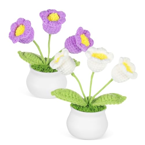 BEBEMOKO 2 Stück Ornamente gestrickte Blumen gehäkelte Blumen häkeln Tulpen Häkelblumen Desktop Dekor Häkeln kleine Topfhäkeln Desktop Ornament Garn von BEBEMOKO