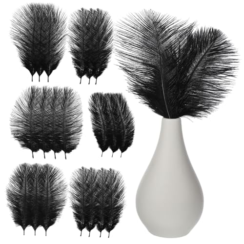 BEBEMOKO 20pcs Strauß Handwerk Strauß Federn Strauß Dekoration Große Strauß Feder Feder Dekoration Federn Ornamente Plume Ornament Handwerk Feder Dekoration Party Plume Schwarz von BEBEMOKO