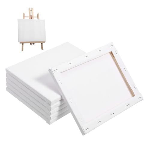 BEBEMOKO 6 Stück blanko Künstlerleinwand Aquarell Stoff Leinwand Board zum Malen, ideal für Staffelei Verwendung für Künstler und Bastelprojekte von BEBEMOKO