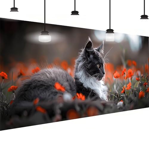 Diamond Painting Blume Diamant Painting Bilder Erwachsene Groß DlY Diamant Art Kinder Full Drill Diamond Malerei Katze 5D Diamant Kunst Malerei Stickerei Set Mosaic Bastelset Wand Decor 30x60 cm Z-YQ von BEIJUYHU