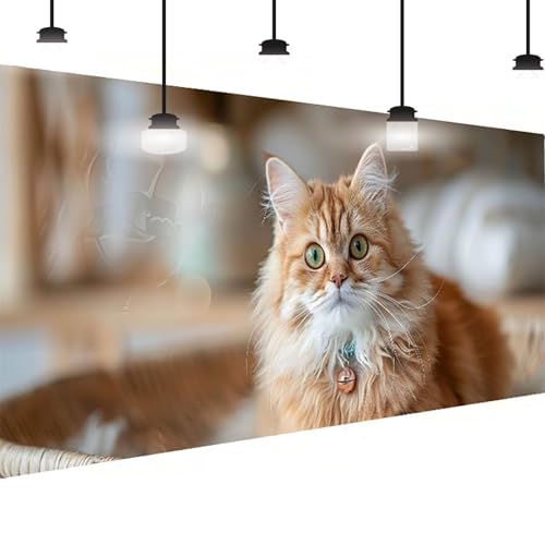 Diamond Painting Tier Diamant Painting Bilder Erwachsene Groß DlY Diamant Art Kinder Full Drill Diamond Malerei Katze 5D Diamant Kunst Malerei Stickerei Set Mosaic Bastelset Wand Decor 30x60 cm 0-L3 von BEIJUYHU