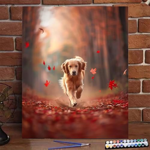 Malen Nach Zahlen Erwachsene Hund, Groß DIY Malen Nach Zahlen mit Rahmen Tier, Anfänger Frauen Bastelset, Pinsel und Acrylfarbe, Paint by Numbers Basteln für Home Wand Dekor Geschenk 50x65cm B-I von BEIJUYHU