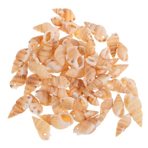 BELLIFFY 100st Muschelanhänger Strand-schmuck-charme Strandamulette Muscheln Im Aquarium Muscheln Zur Dekoration Souvenirs Vom Meer Meereszauber Zubehör Für Aquarien Muscheln Zum Dekorieren von BELLIFFY