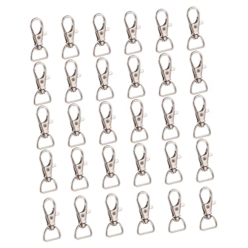 BELLIFFY 30st Schlüsselanhänger Verschlüsse Zur Schmuckherstellung Hundekette Karabinerverschlüsse Selber Machen D-ring Karabinerverschlüsse Portemonnaie-lanyard Legierung Silver von BELLIFFY