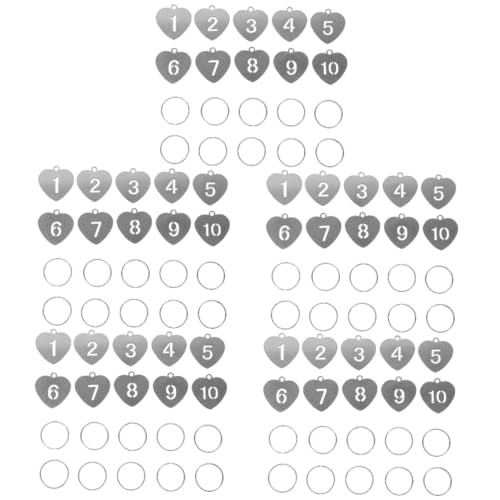 BESTYASH 5 Sätze Nummernschild Schlüsselband Für Schlüssel Korn Ring Schlüsselhüllen Für Hausschlüssel Etikett Silber Zahl Schlüsselanhänger Zahlenkarten Stahl Silver 10 Stück * 5 von BESTYASH