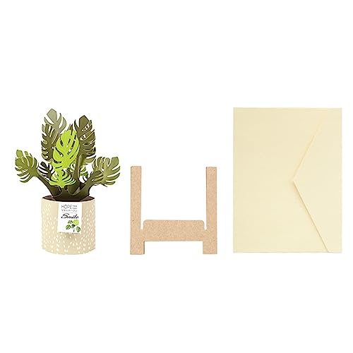 BFLKY 3D Grußkarten Topfpflanze Monstera Postkarte Muttertagskarte Umschlag Nachrichtenkarte Dekoration von BFLKY