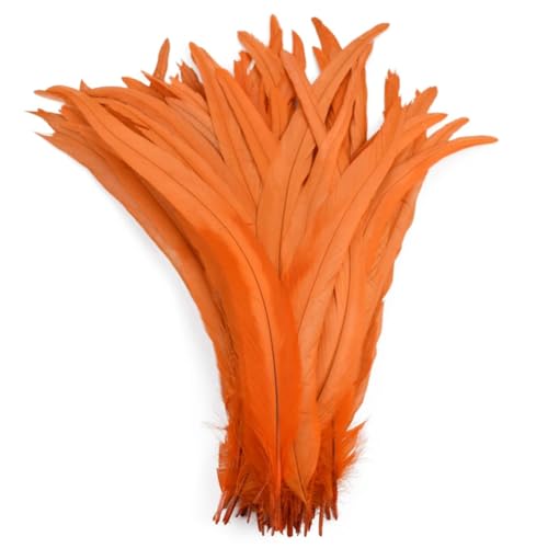 BFVAKBKYT Natürliche Federn, 50 Stück farbige natürliche Hahnenfedern, Hahnenschwanzfedern, Hochzeitsdekorationsfedern(Orange,12-14inch 30-35cm) von BFVAKBKYT