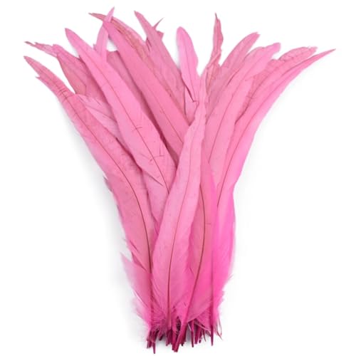 BFVAKBKYT Natürliche Federn, 50 Stück farbige natürliche Hahnenfedern, Hahnenschwanzfedern, Hochzeitsdekorationsfedern(Pink,10-12inch 25-30cm) von BFVAKBKYT