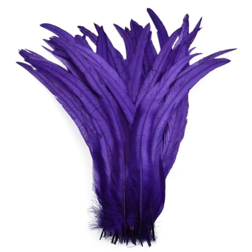 BFVAKBKYT Natürliche Federn, 50 Stück farbige natürliche Hahnenfedern, Hahnenschwanzfedern, Hochzeitsdekorationsfedern(Purple,10-12inch 25-30cm) von BFVAKBKYT