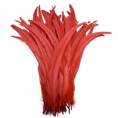 BFVAKBKYT Natürliche Federn, 50 Stück farbige natürliche Hahnenfedern, Hahnenschwanzfedern, Hochzeitsdekorationsfedern(Red,12-14inch 30-35cm) von BFVAKBKYT