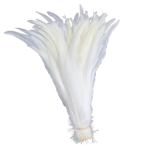 BFVAKBKYT Natürliche Federn, 50 Stück farbige natürliche Hahnenfedern, Hahnenschwanzfedern, Hochzeitsdekorationsfedern(Solid White,12-14inch 30-35cm) von BFVAKBKYT