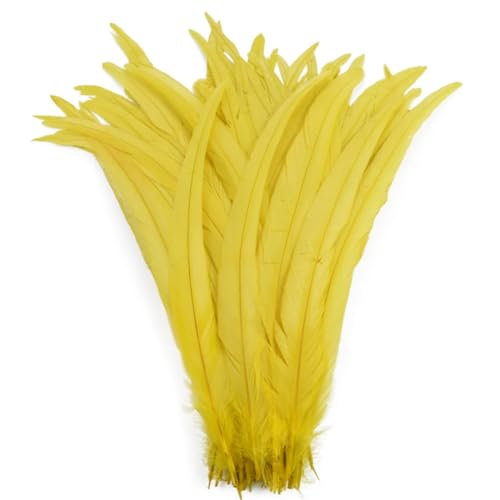 BFVAKBKYT Natürliche Federn, 50 Stück farbige natürliche Hahnenfedern, Hahnenschwanzfedern, Hochzeitsdekorationsfedern(Yellow,10-12inch 25-30cm) von BFVAKBKYT