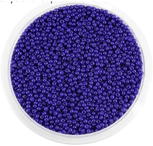 1000/1800 Stück 2 mm tschechische Glasperlen, kleine runde lose Perlen-Bläulich-Violett-1000 Stück x 2 mm von BGPFJK