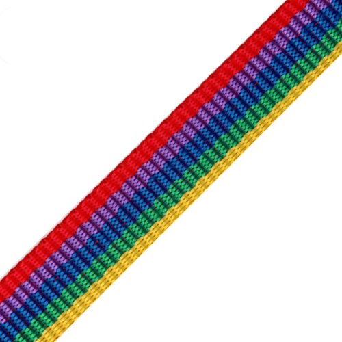 BIG-SAM - 10545 - Gurtband aus Polypropylen - 15mm Breite - 1, 5 oder 10 Meter - Auswahl aus 16 Farben (10 Meter, Multicolored (90)) von BIG-SAM