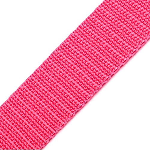 BIG-SAM - 10564-20mm Gurtband - Polypropylen - 1, 5 oder 10 Meter Angebote (1 Meter, Pink (28)) von BIG-SAM