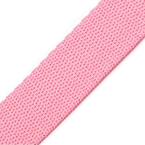 BIG-SAM - 24mm Gurtband aus Polypropylen 1, 5 oder 10 Meter für Schnallen mit Einer Breite von 24mm (innen) (Rosa, 1) von BIG-SAM