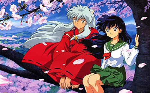 BILIVAN DIY 5D Diamond Painting Set Full Diamond Round Diamond Diamond Wohnzimmer Schlafzimmer Dekorative Malerei Einfache Modern Schöne Anime Characters Inuyasha (20 * 30cm) von BILIVAN