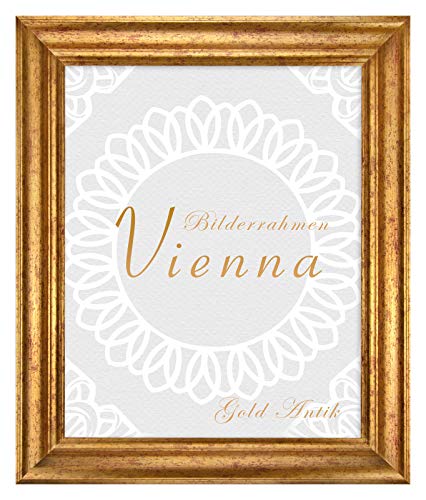 BIRAPA Bilderrahmen gold Vienna Rahmen 100x120 cm - Bilderrahmen vintage in Gold Antik, Bilderrahmen Holz mit Zierleiste innen und außen, Fotorahmen, Holzrahmen von BIRAPA