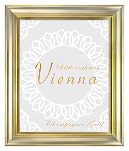 BIRAPA Bilderrahmen gold Vienna Rahmen 25x30 cm - Bilderrahmen vintage in Champagner Gold, Bilderrahmen Holz mit Zierleiste innen und außen, Fotorahmen, Holzrahmen von BIRAPA